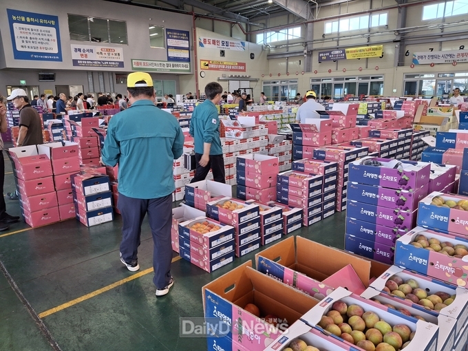 영천시 농산물도매시장, 출하농산물 안전성 검사 시행