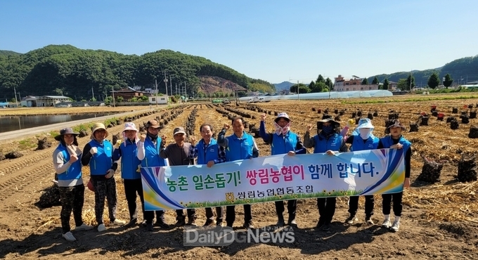 고령군 쌍림농협, 마늘농가 일손돕기 지원 구슬땀
