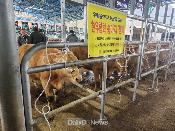예천군, 2025년 한우농가 맞춤형 아카데미 수강생 모집