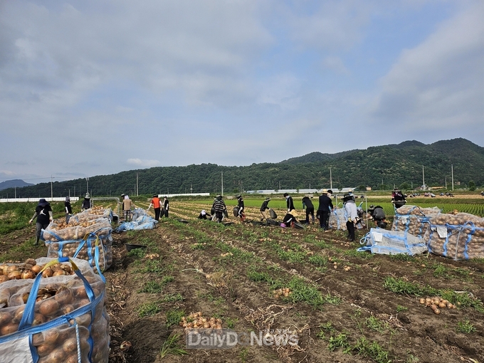 운수면, 지역경제실, 산림녹지과, 대가야박물관 농촌일손돕기 실시