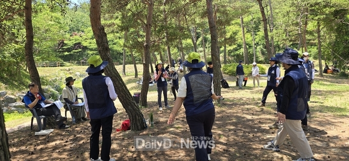 지난해 숲문화축제 장면