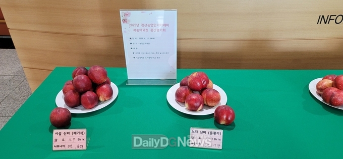 경산시, 시설복숭아에서 미래농업 찾다
