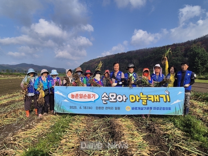 바르게살기운동 의성군협의회, 산불 피해 농가에 마늘 수확 일손돕기 나서