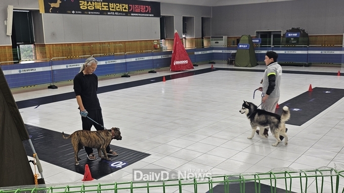 경상북도 제공 )2024년 기질평가 장면