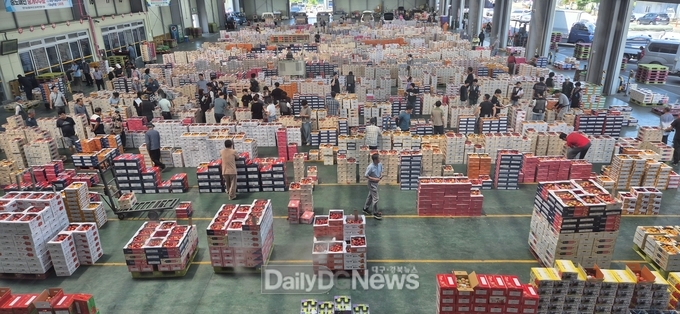 영천 농산물, 신뢰를 더하고 세련된 디자인을 입다!
