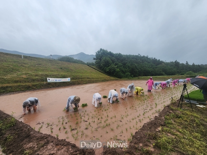의성군, 제6회 ‘첫물내리기’ 전통 농경문화 행사 개최