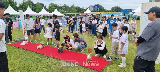 경북교육청, ‘생명사랑 가족 캠프’ 