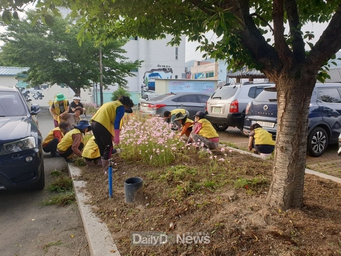 청도읍, 주민 손길로 피어난 깨끗한 마을
