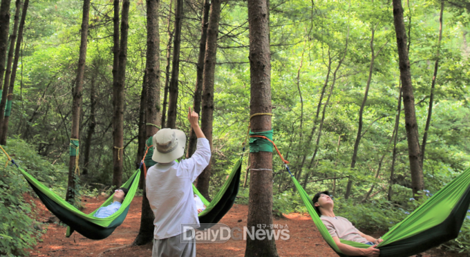 국립산림치유원, 2025년 꼭 가봐야 할 웰니스 명소로 선정