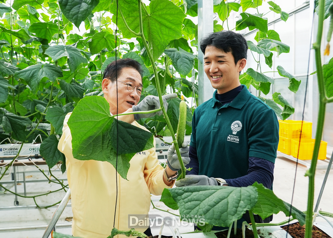 영천시, ‘지역특화 임대형 스마트팜’ 오이 첫 수확 시작!