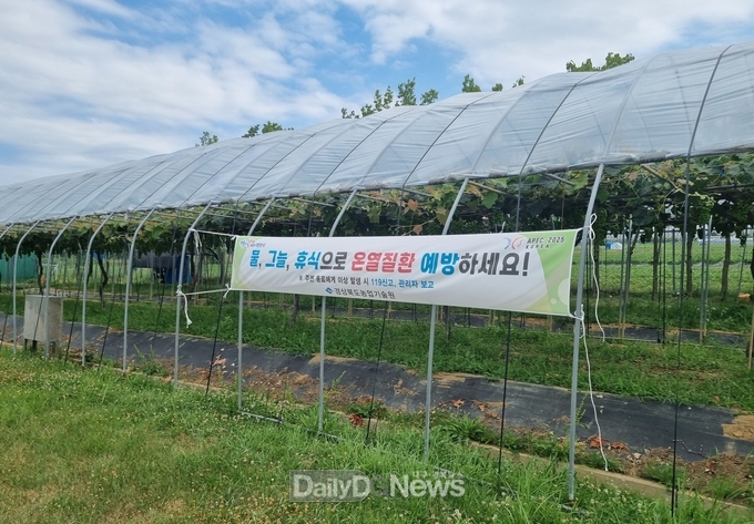 폭염_온열질환_예방_현수