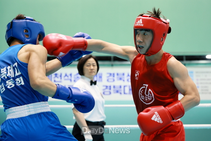 예천군, 2025 예천석송령배 경북생활체육 복싱대회 개최