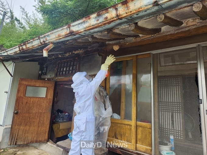 벌집제거 장면