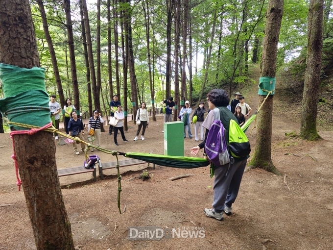 경북교육청, 학교폭력 업무담당자 대상 ‘산림치유 연수’ 운영!