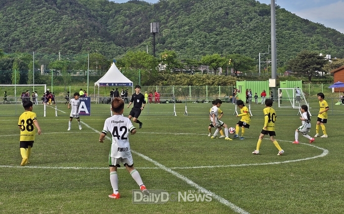 화랑대기 전국 유소년 축구대회 개최 역대 최대 규모