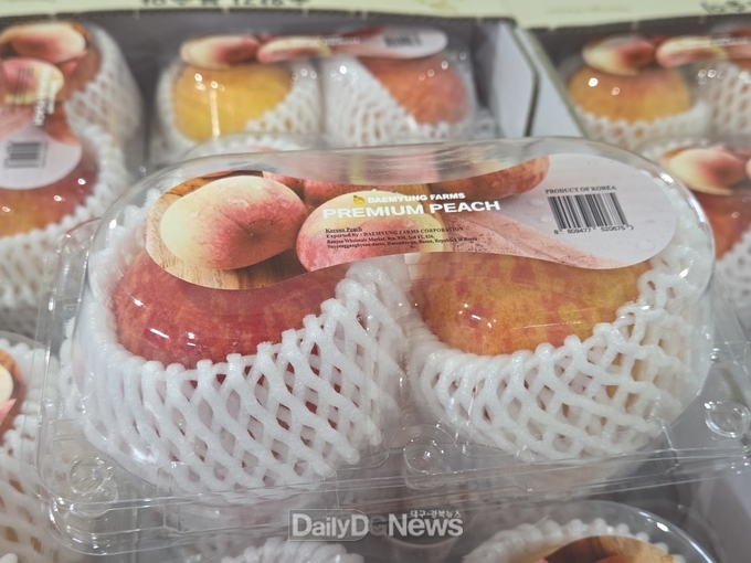 영주시 복숭아가 출고된 모습