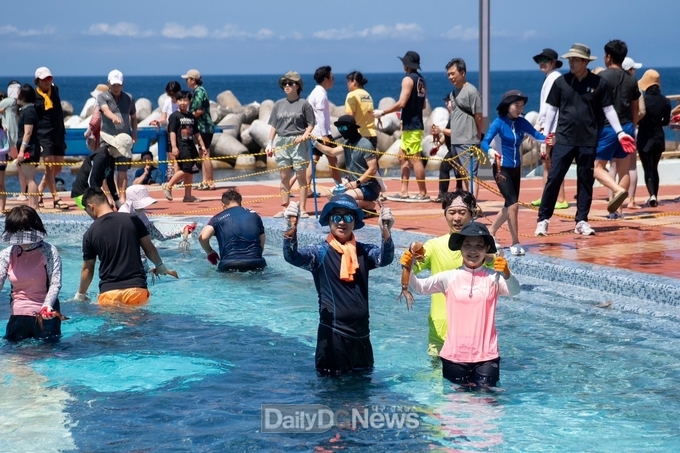 2024년 울릉도 오징어축제 장면