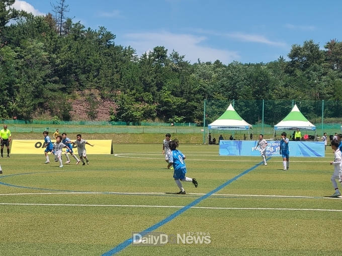 유소년 축구 페스티벌 ‘영덕 풋볼페스타 서머리그’ 성료