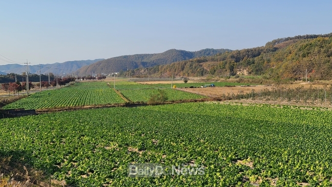 영양군, 급변하는 기후와 농업환경에 적극 대응