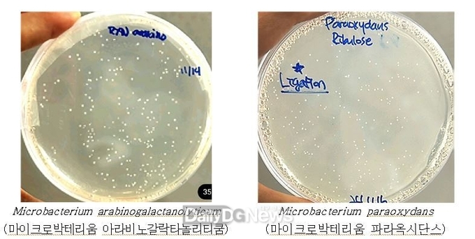 국립낙동강생물자원관, 고온에서도 안정적인 비유전자변형 미생물로 감미료 생산 효소 확보