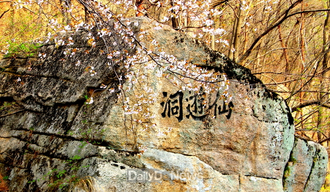 오리무중, ‘바위 각자(선유동(仙遊洞)