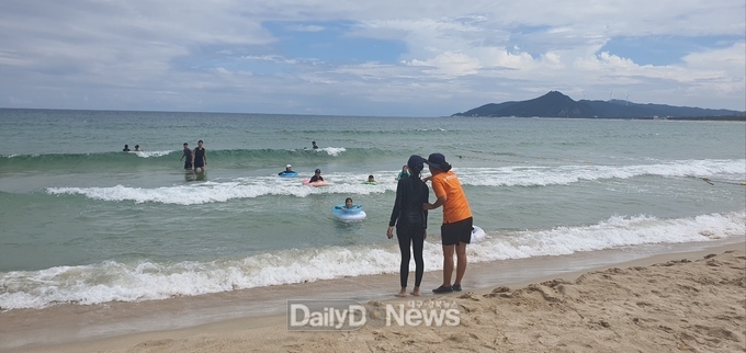 경북소방본부,‘푸른우산관해파리 확산’에 다른 피서객 주의 당부