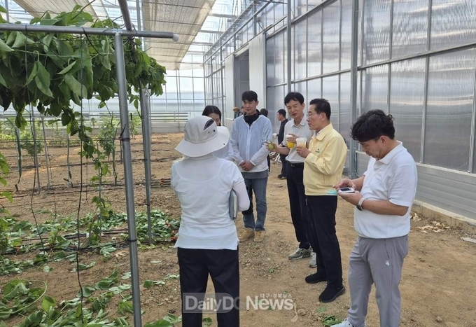 ※ 사진 2부: 지난 18일, 최기문 영천시장과 시 관계자들이 북안면 반정리에 위치한 아열대 스마트팜단지 조성현장을 점검하고 있다.