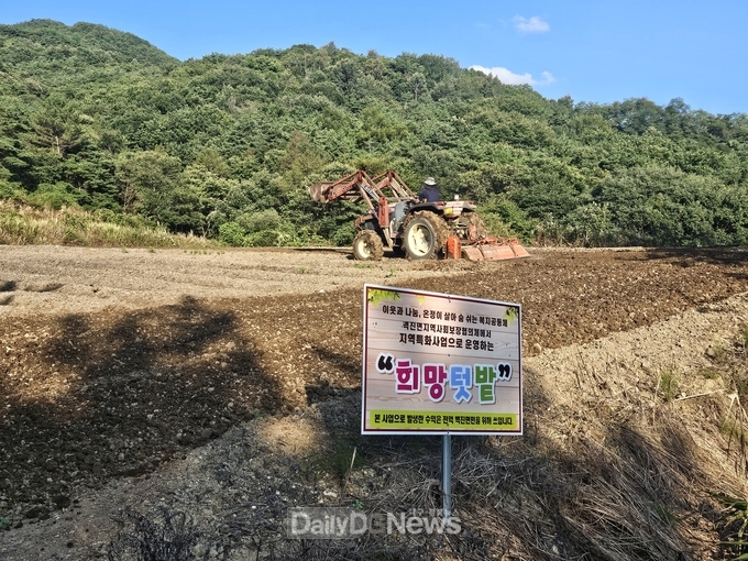 벽진면 지역사회보장협의체 들깨밭 제초작업 및 메밀 파종