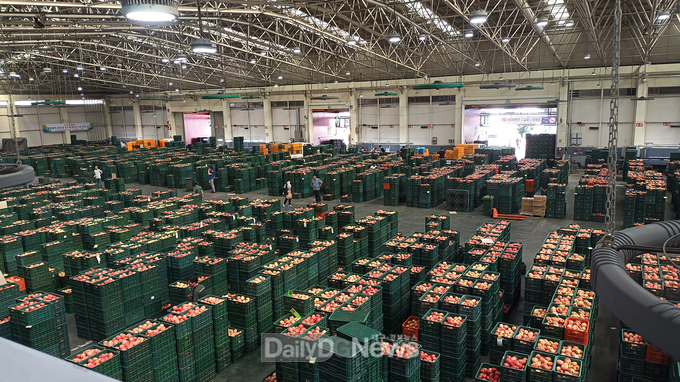 안동시 농수산물도매시장, 청과부류 경매 개시 시각 30분 앞당겨