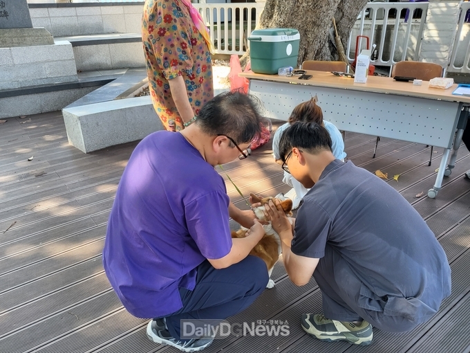 울릉군, 동물보호 홍보 캠페인 및 반려견 광견병 무료접종 실시