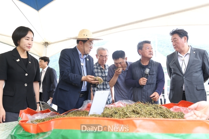 경주시, 신규사료작물 알팔파 재배기술 보급 연시회 열어