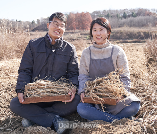 도라지_재배모습(도라지미)