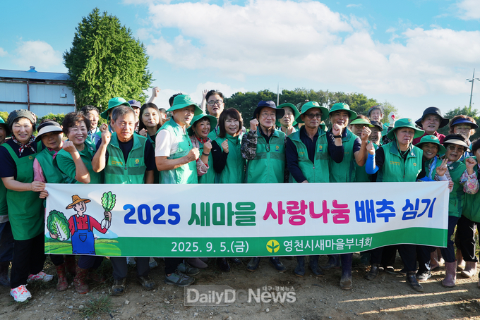  영천시새마을회, 이웃사랑 김장배추 모종 심기 나서