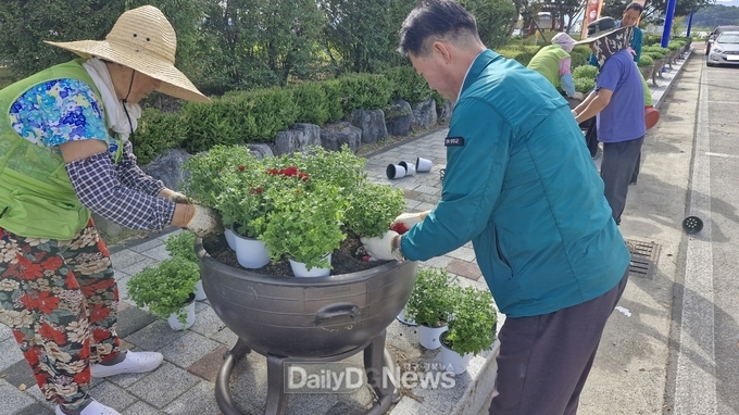 가을맞이 가로 화분 꽃모종 식재