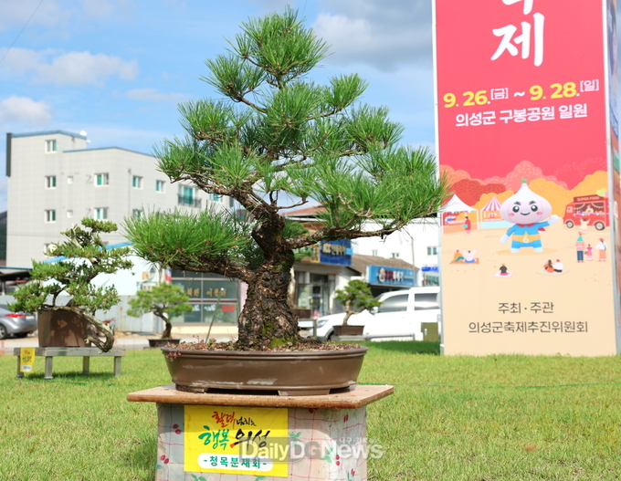 의성군, 축제와 함께하는 분재 전시로 고품격 거리 조성