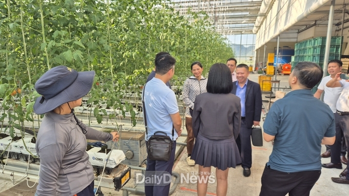 베트남 라오까이성 대표단 고령군 방문