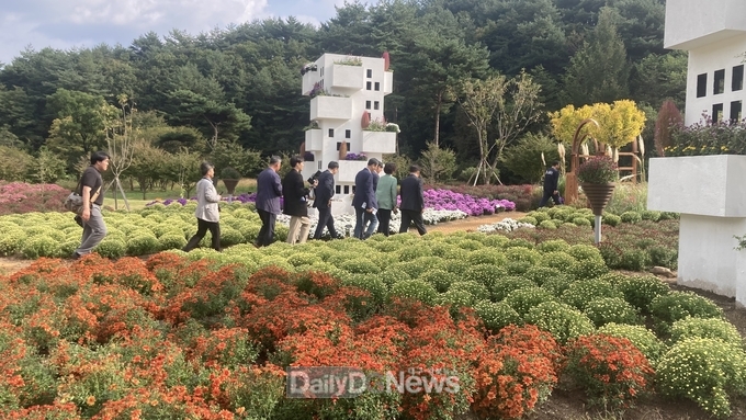 2025년 백두대간 봉자페스티벌 화려한 개막