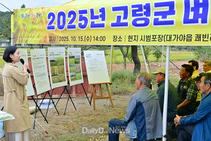 2025년 고령군 벼농사 평가회 개최!!