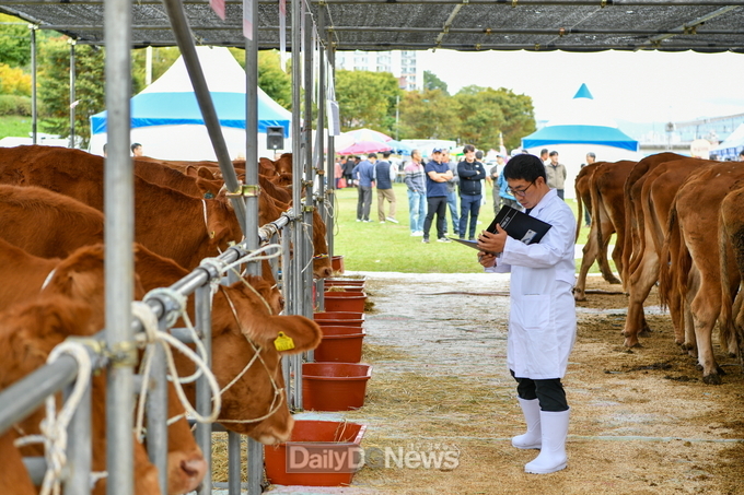 ‘2025 경북한우경진대회’ 영주서 성황리 개최