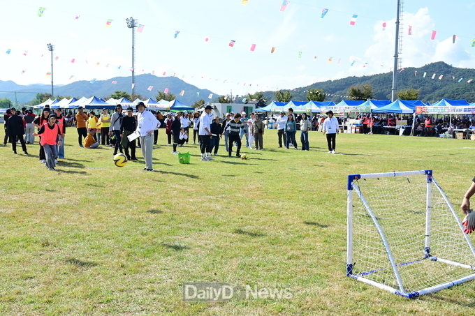 고령군, 제60회 고령군민체육대회 