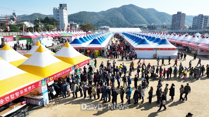 깊어가는 가을, 청송사과축제 ‘다시 푸르게, 다시 붉게’ 물들다