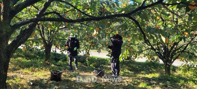 일손 부족한 농가 찾아 따듯한 손길 전하며 지역 상생 실천
