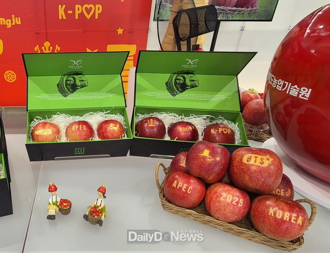 문경 감홍 사과