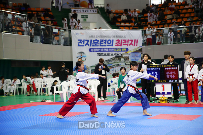 영천시, ‘2025 대한민국 독도수호태권도대회’ 성황리에 개최