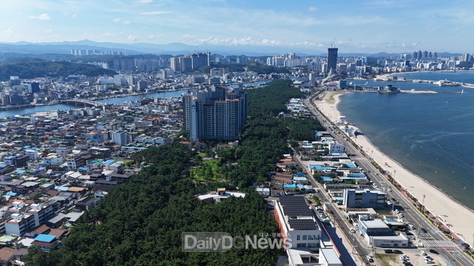 포항 송도솔밭도시숲, 산림청 주관 ‘대한민국 모범도시숲’ 최종 선정