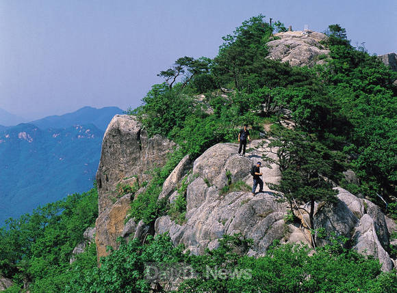 32년만에 일반인에게 공개되는 대야산 전졍