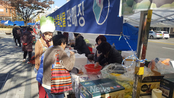 팔각산친환경절임배추영농조합법인 이미지