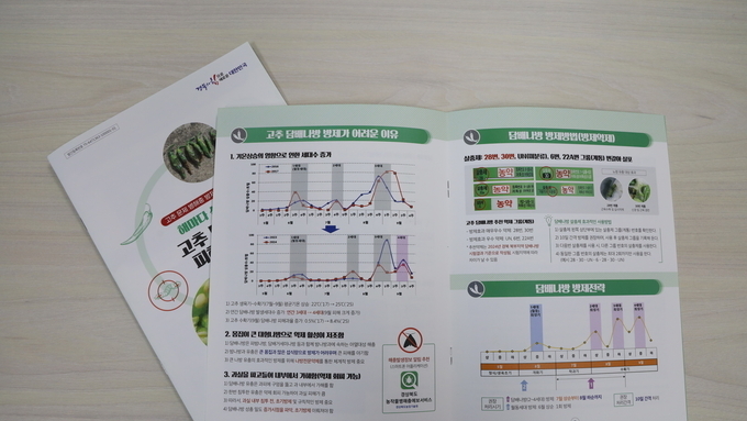 늘어나는 담배나방 피해 맞춤형 방제로 예방!
