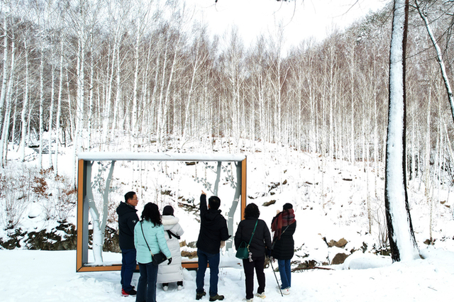 경북 영양자작나무숲, 국립치유의숲으로 도약