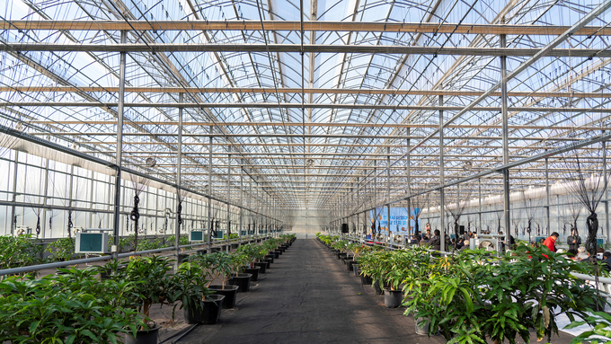 영천 아열대 스마트팜단지, 미래농업 거점으로 본격 가동